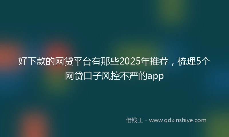 好下款的网贷平台有那些2025年推荐，梳理5个网贷口子风控不严的app