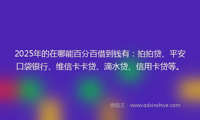 2025年的在哪能百分百借到钱有：拍拍贷、平安口袋银行、维信卡卡贷、滴水贷、信用卡贷等。