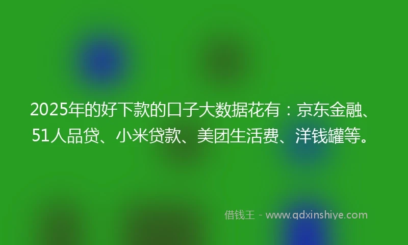 2025年的好下款的口子大数据花有：京东金融、51人品贷、小米贷款、美团生活费、洋钱罐等。