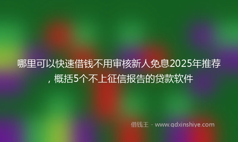 哪里可以快速借钱不用审核新人免息2025年推荐，概括5个不上征信报告的贷款软件