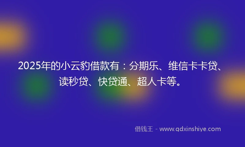 2025年的小云豹借款有：分期乐、维信卡卡贷、读秒贷、快贷通、超人卡等。