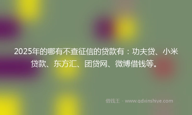 2025年的哪有不查征信的贷款有：功夫贷、小米贷款、东方汇、团贷网、微博借钱等。