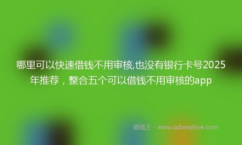哪里可以快速借钱不用审核,也没有银行卡号2025年推荐，整合五个可以借钱不用审核的app