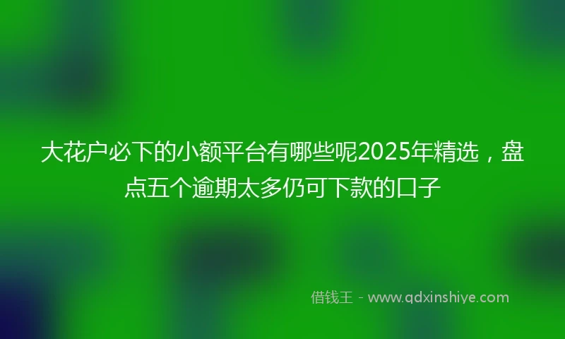 大花户必下的小额平台有哪些呢2025年精选,盘点五个逾期太多仍可下款的口子