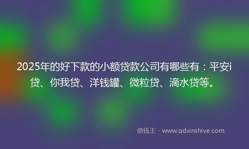 2025年的好下款的小额贷款公司有哪些有：平安i贷、你我贷、洋钱罐、微粒贷、滴水贷等。