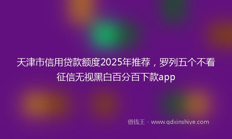 天津市信用贷款额度2025年推荐，罗列五个不看征信无视黑白百分百下款app
