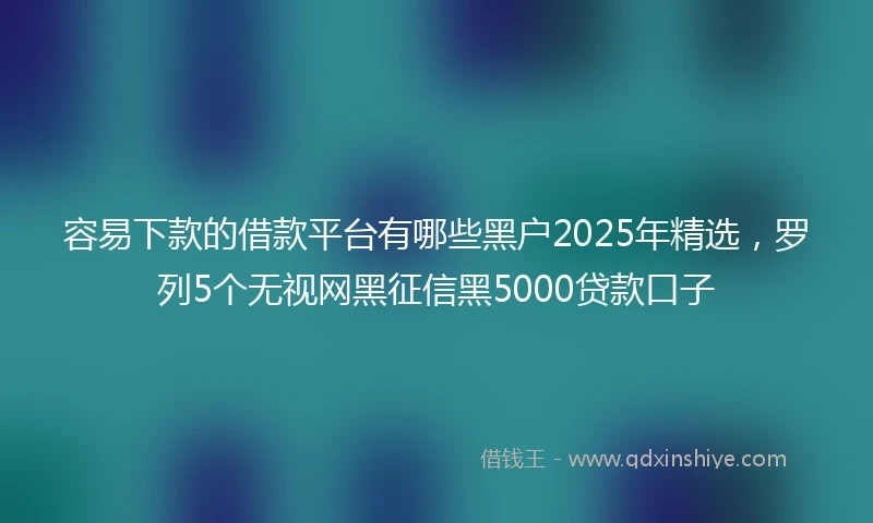 容易下款的借款平台有哪些黑户2025年精选，罗列5个无视网黑征信黑5000贷款口子