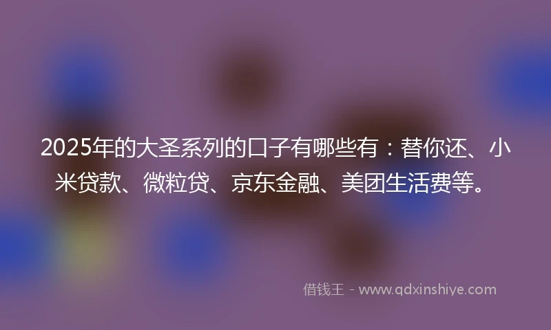 2025年的大圣系列的口子有哪些有：替你还、小米贷款、微粒贷、京东金融、美团生活费等。
