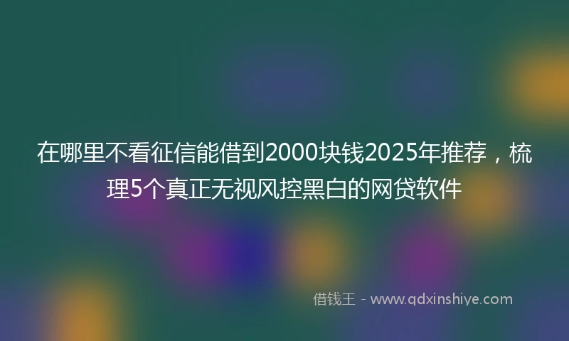 在哪里不看征信能借到2000块钱2025年推荐，梳理5个真正无视风控黑白的网贷软件