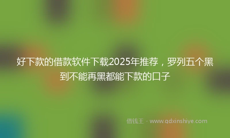 好下款的借款软件下载2025年推荐，罗列五个黑到不能再黑都能下款的口子
