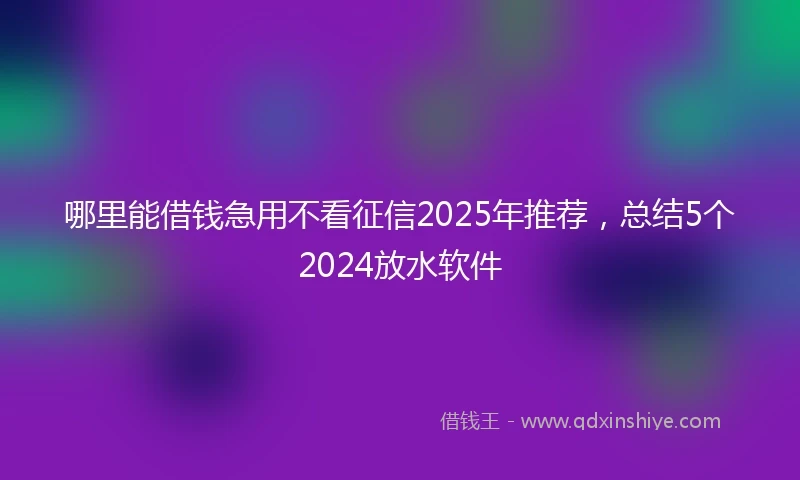 哪里能借钱急用不看征信2025年推荐，总结5个2024放水软件
