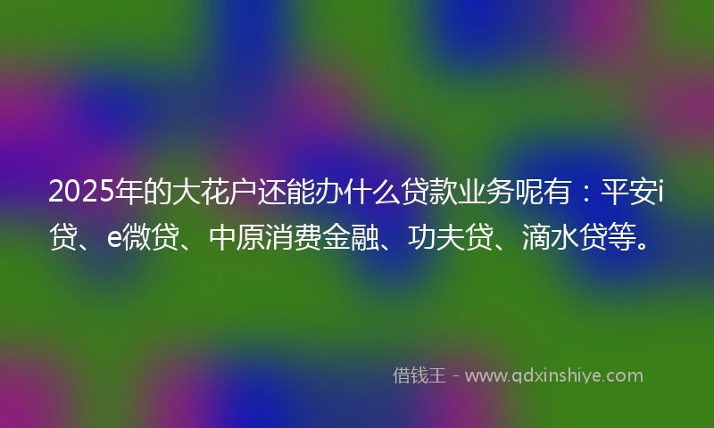 2025年的大花户还能办什么贷款业务呢有：平安i贷、e微贷、中原消费金融、功夫贷、滴水贷等。