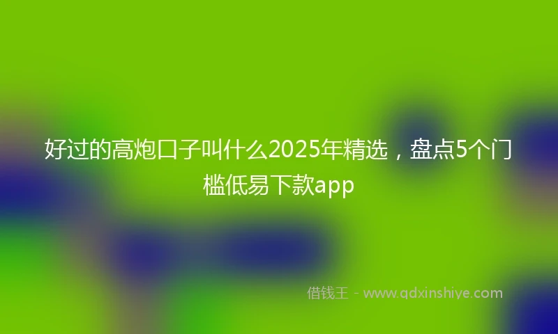 好过的高炮口子叫什么2025年精选，盘点5个门槛低易下款app