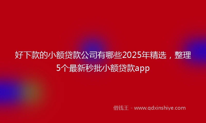 好下款的小额贷款公司有哪些2025年精选，整理5个最新秒批小额贷款app