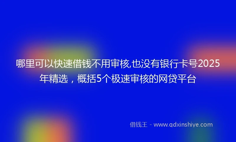 哪里可以快速借钱不用审核,也没有银行卡号2025年精选，概括5个极速审核的网贷平台