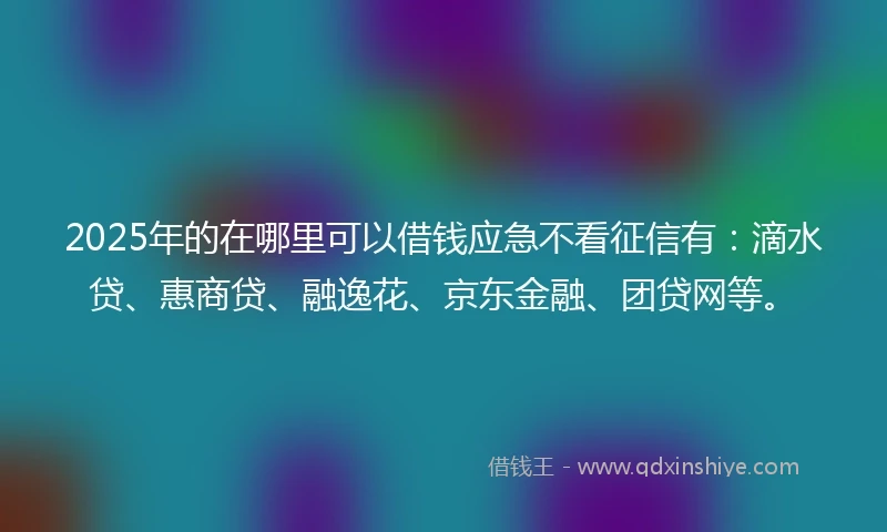 2025年的在哪里可以借钱应急不看征信有：滴水贷、惠商贷、融逸花、京东金融、团贷网等。