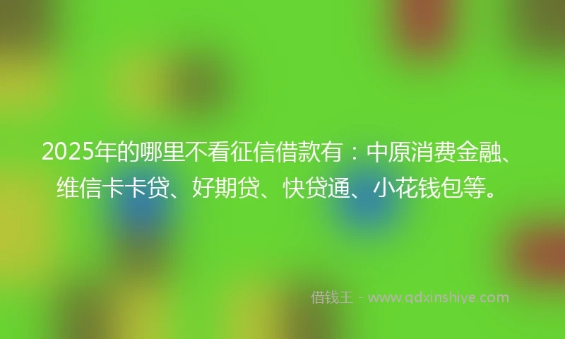 2025年的哪里不看征信借款有：中原消费金融、维信卡卡贷、好期贷、快贷通、小花钱包等。
