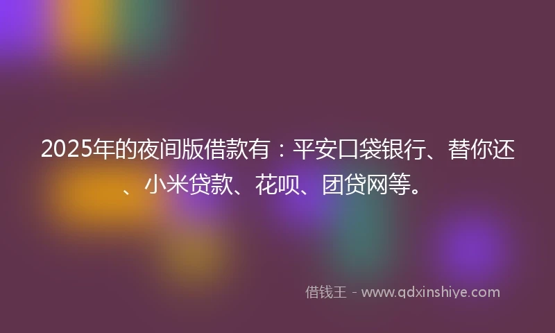 2025年的夜间版借款有：平安口袋银行、替你还、小米贷款、花呗、团贷网等。
