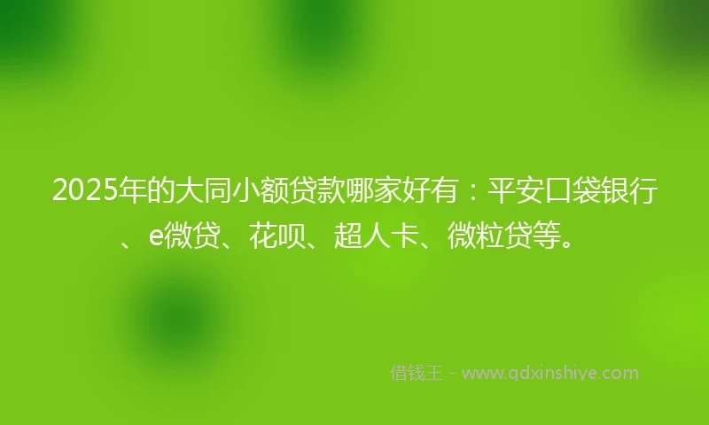 2025年的大同小额贷款哪家好有：平安口袋银行、e微贷、花呗、超人卡、微粒贷等。