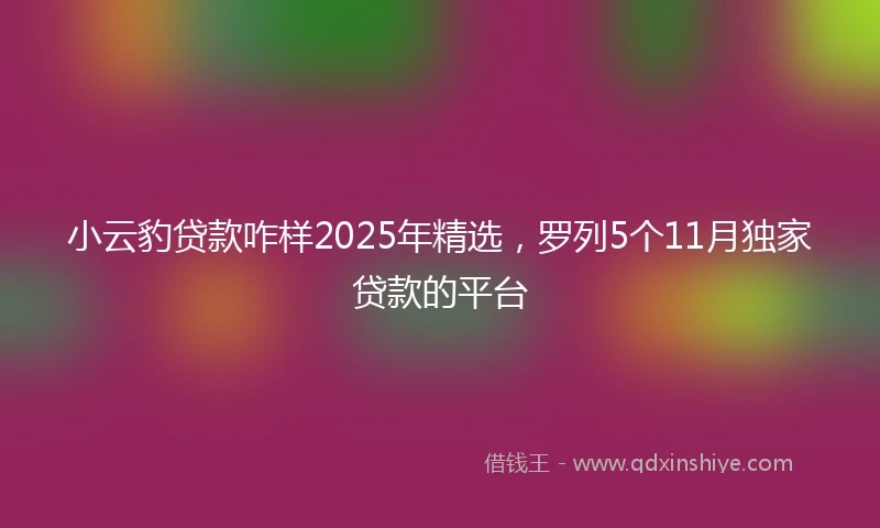 小云豹贷款咋样2025年精选，罗列5个11月独家贷款的平台