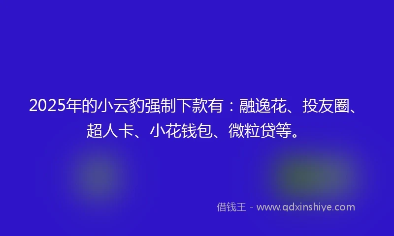 2025年的小云豹强制下款有：融逸花、投友圈、超人卡、小花钱包、微粒贷等。