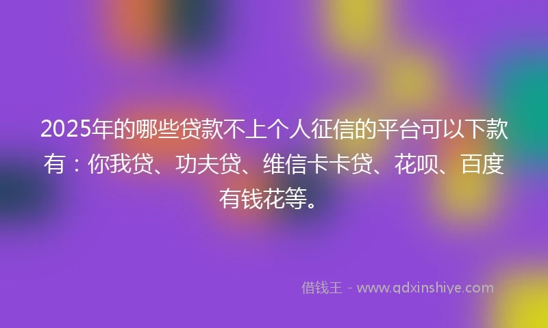 2025年的哪些贷款不上个人征信的平台可以下款有：你我贷、功夫贷、维信卡卡贷、花呗、百度有钱花等。