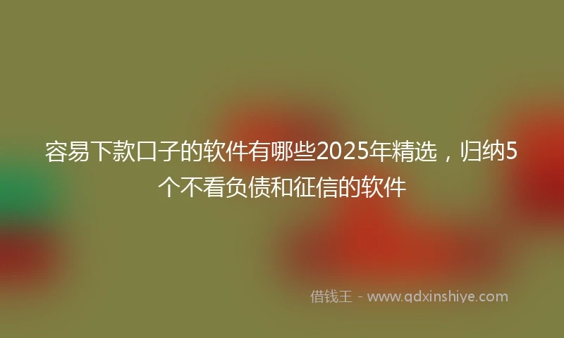 容易下款口子的软件有哪些2025年精选，归纳5个不看负债和征信的软件
