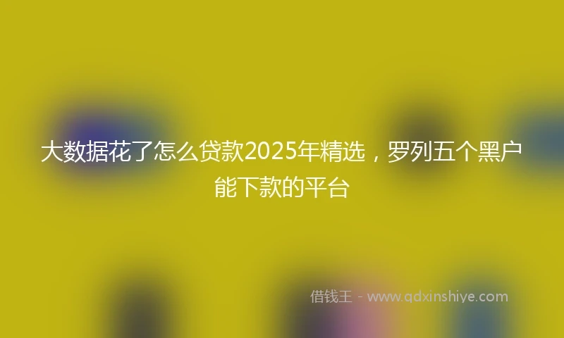 大数据花了怎么贷款2025年精选，罗列五个黑户能下款的平台