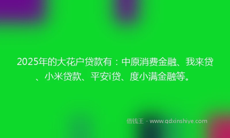 2025年的大花户贷款有:中原消费金融、我来贷、小米贷款、平安i贷、度小满金融等。