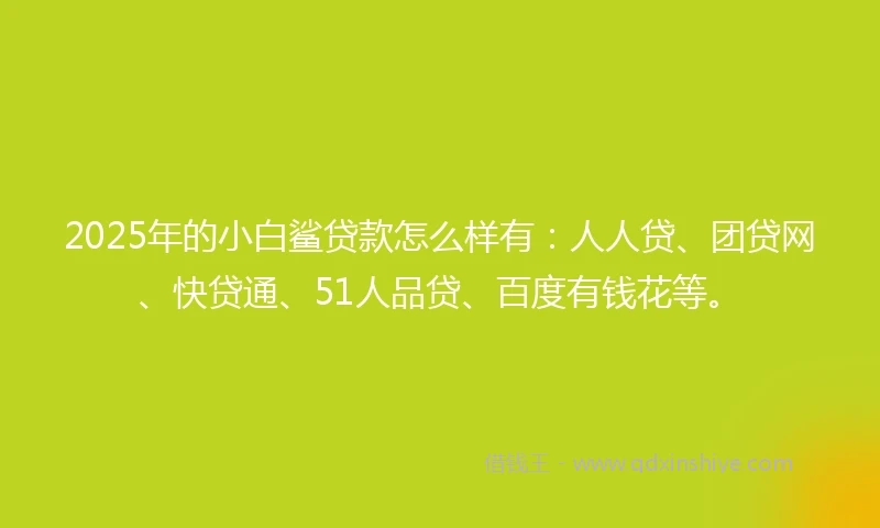 2025年的小白鲨贷款怎么样有：人人贷、团贷网、快贷通、51人品贷、百度有钱花等。