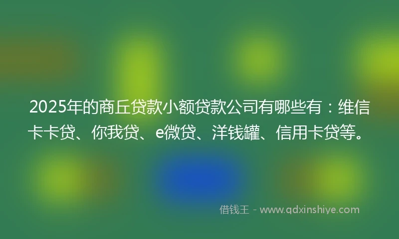 2025年的商丘贷款小额贷款公司有哪些有：维信卡卡贷、你我贷、e微贷、洋钱罐、信用卡贷等。