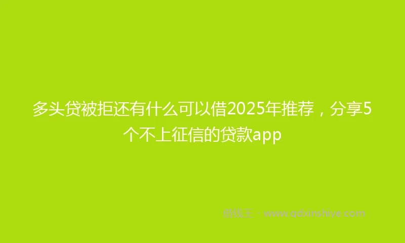 多头贷被拒还有什么可以借2025年推荐，分享5个不上征信的贷款app
