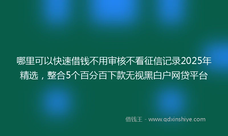 哪里可以快速借钱不用审核不看征信记录2025年精选，整合5个百分百下款无视黑白户网贷平台