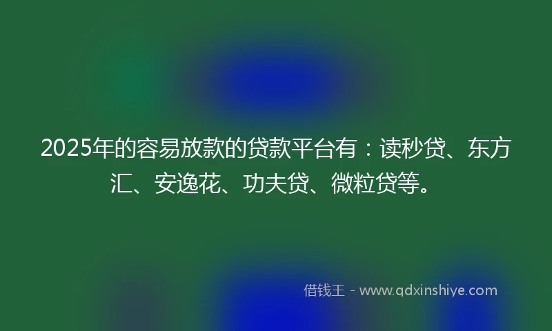 2025年的容易放款的贷款平台有：读秒贷、东方汇、安逸花、功夫贷、微粒贷等。