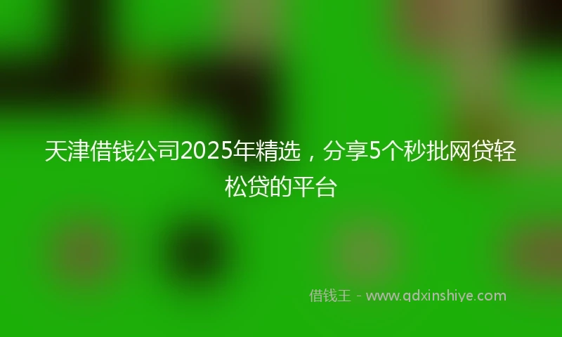 天津借钱公司2025年精选，分享5个秒批网贷轻松贷的平台
