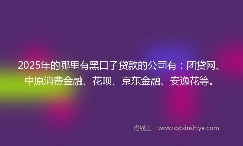 2025年的哪里有黑口子贷款的公司有：团贷网、中原消费金融、花呗、京东金融、安逸花等。
