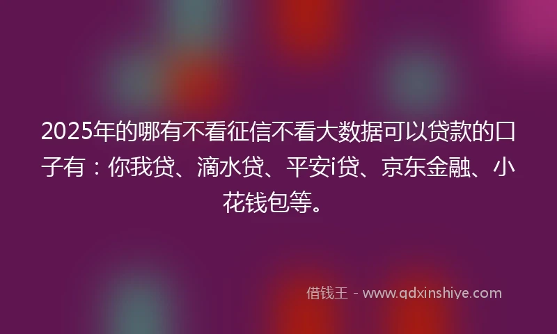 2025年的哪有不看征信不看大数据可以贷款的口子有：你我贷、滴水贷、平安i贷、京东金融、小花钱包等。
