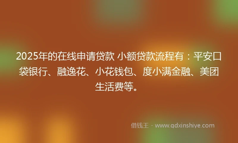 2025年的在线申请贷款 小额贷款流程有：平安口袋银行、融逸花、小花钱包、度小满金融、美团生活费等。