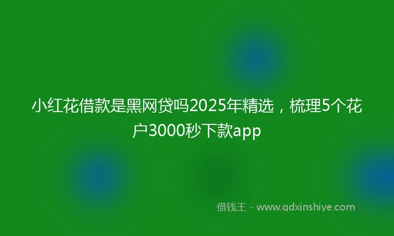 小红花借款是黑网贷吗2025年精选，梳理5个花户3000秒下款app