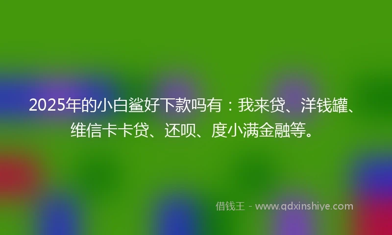 2025年的小白鲨好下款吗有：我来贷、洋钱罐、维信卡卡贷、还呗、度小满金融等。