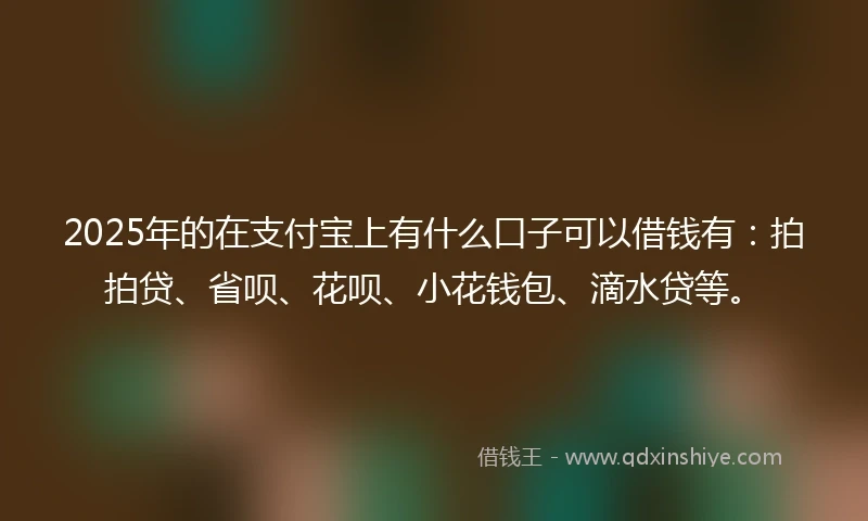 2025年的在支付宝上有什么口子可以借钱有：拍拍贷、省呗、花呗、小花钱包、滴水贷等。