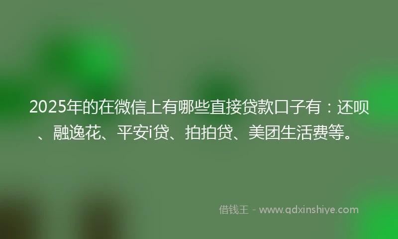 2025年的在微信上有哪些直接贷款口子有：还呗、融逸花、平安i贷、拍拍贷、美团生活费等。