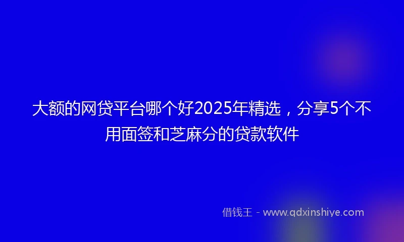 大额的网贷平台哪个好2025年精选，分享5个不用面签和芝麻分的贷款软件