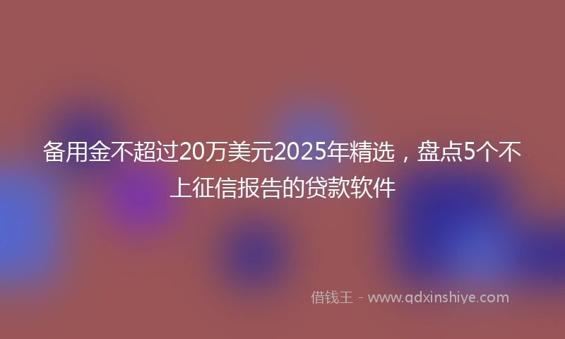 备用金不超过20万美元2025年精选，盘点5个不上征信报告的贷款软件