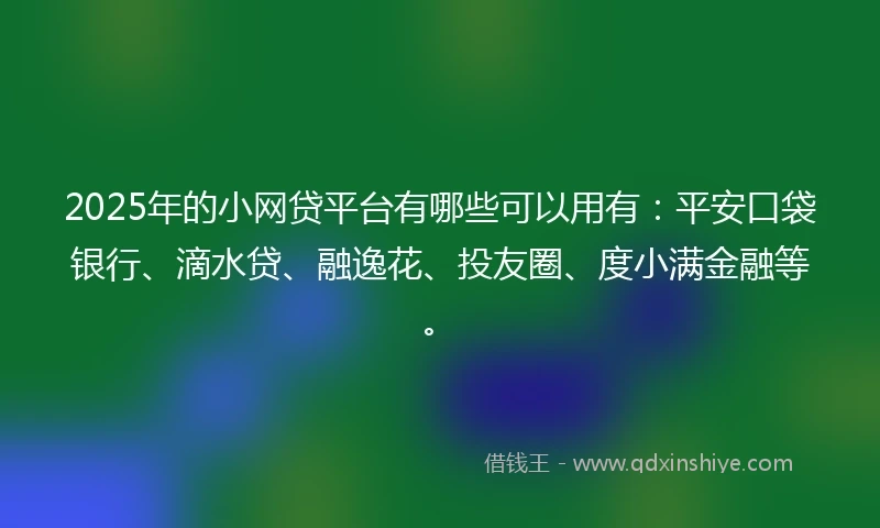 2025年的小网贷平台有哪些可以用有：平安口袋银行、滴水贷、融逸花、投友圈、度小满金融等。
