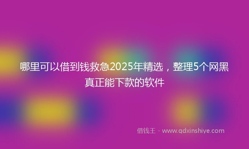 哪里可以借到钱救急2025年精选，整理5个网黑真正能下款的软件