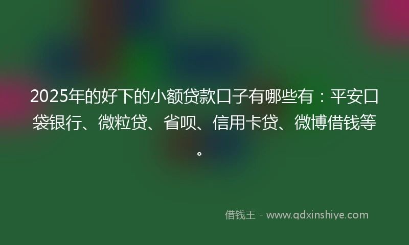 2025年的好下的小额贷款口子有哪些有：平安口袋银行、微粒贷、省呗、信用卡贷、微博借钱等。