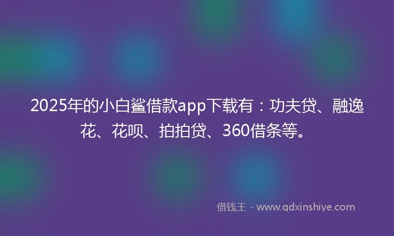2025年的小白鲨借款app下载有：功夫贷、融逸花、花呗、拍拍贷、360借条等。