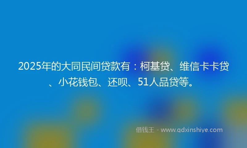 2025年的大同民间贷款有：柯基贷、维信卡卡贷、小花钱包、还呗、51人品贷等。