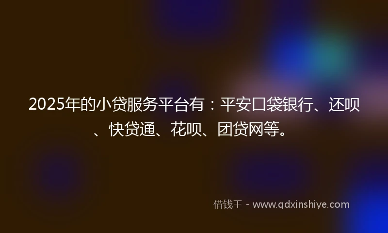 2025年的小贷服务平台有：平安口袋银行、还呗、快贷通、花呗、团贷网等。